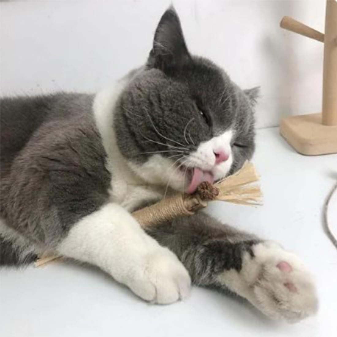 Silvervine Sticks for Cats, Natural Silvervine Dental Sticks, Natural Silvervines Stick Cat Chew Toy for Bored Indoor Kitty, Promote Dental Health, Engage & Entertain (2PCS,4CM-A)