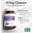 thumbnail image 3 of Healths Harmony Intestinal Guard Parasite Cleanse Supplement with Wormwood, Black Walnut, and More, 60 Capsules, 3 of 10