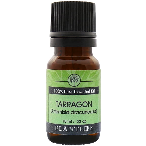 Plantlife Tarragon Aromatherapy Essential Oil - Straight From The Plant 100% Pure Therapeutic Grade - No Additives or Fillers - 10 ml