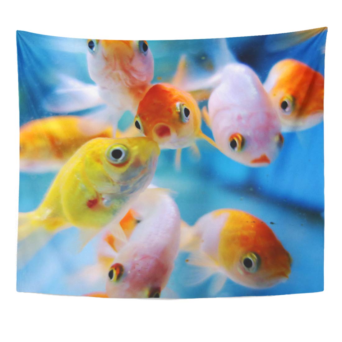 walmart goldfish fish