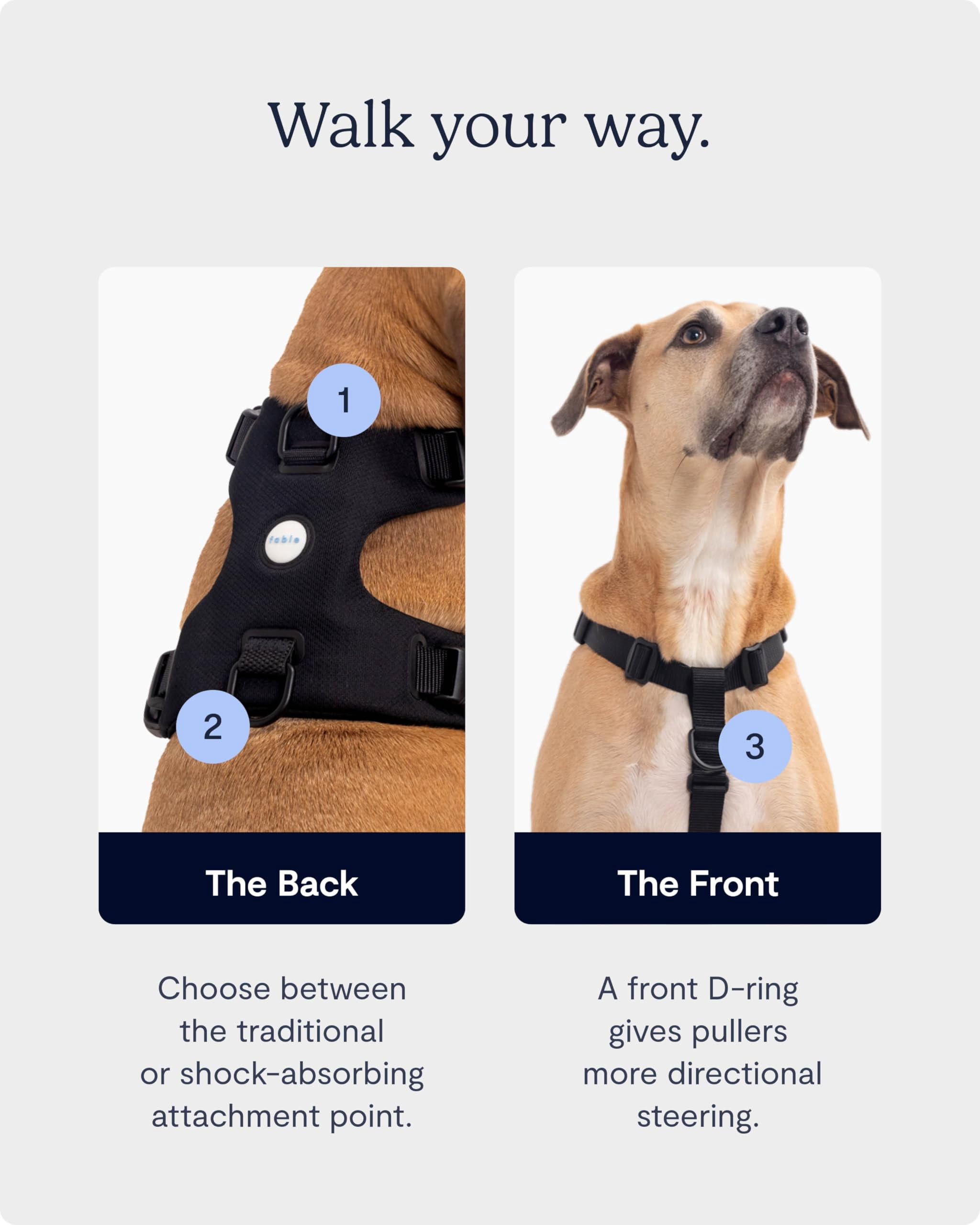 Fable Signature Harness for Dogs - Minimalist Extra Small Black Dog Harness with