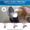thumbnail image 3 of Cortauñas LED para perros iToLeeve con luz para uñas de perros y gatos, 3 of 8