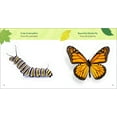 thumbnail image 7 of The Backyard Bug Book for Kids: Storybook, Insect Facts, and Activities (Spiral Bound), 7 of 7