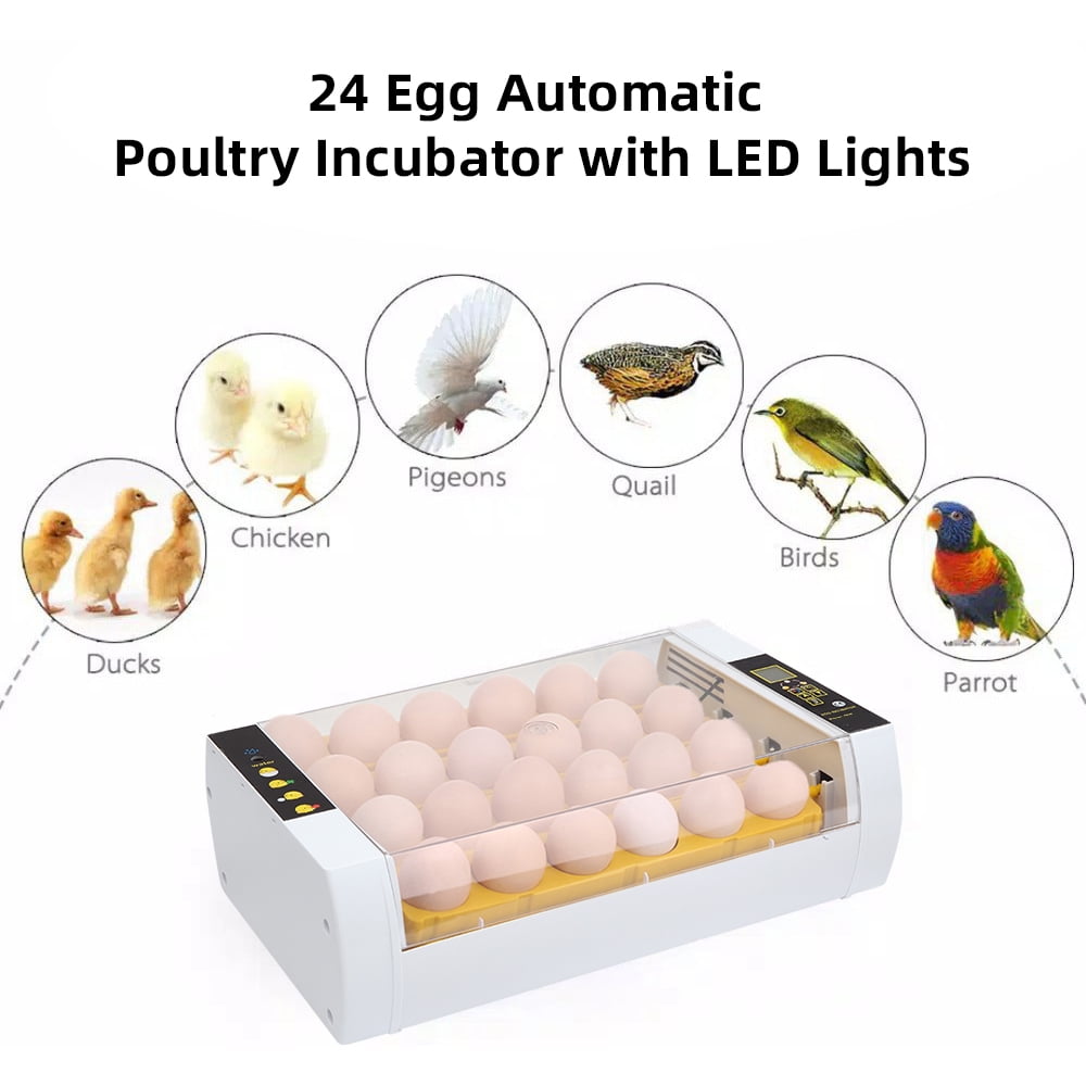 Canddidliike 24 Eggs Led Candler Poultry Hatching Machine, Chicken Incubators for Hatching Eggs Canddidliike 24 Eggs Led Candler Poultry Hatching Machine, Chicken Incubators for Hatching Eggs