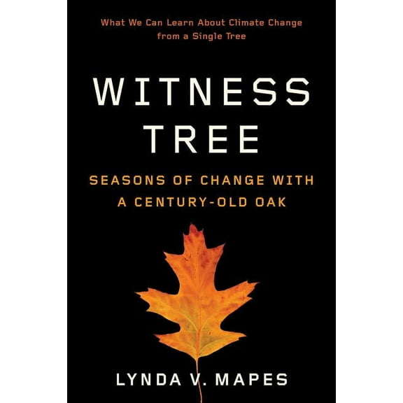 Witness Tree: Seasons of Change with a Century-Old Oak, (Paperback)