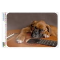 thumbnail image 1 of Boxer Puppy Dog Sleeping on Guitar Home Business Office Sign, 1 of 4