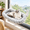 Gray Bubble Cushion Bed-Large, variant on White Striped Cushion Bed Large Foldable Cat Window Perch Hammock