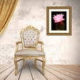 thumbnail image 3 of Taylor, Douglas 12x14 Gold Ornate Wood Framed with Double Matting Museum Art Print Titled - Beaver Tail Cactus Flower, 3 of 4