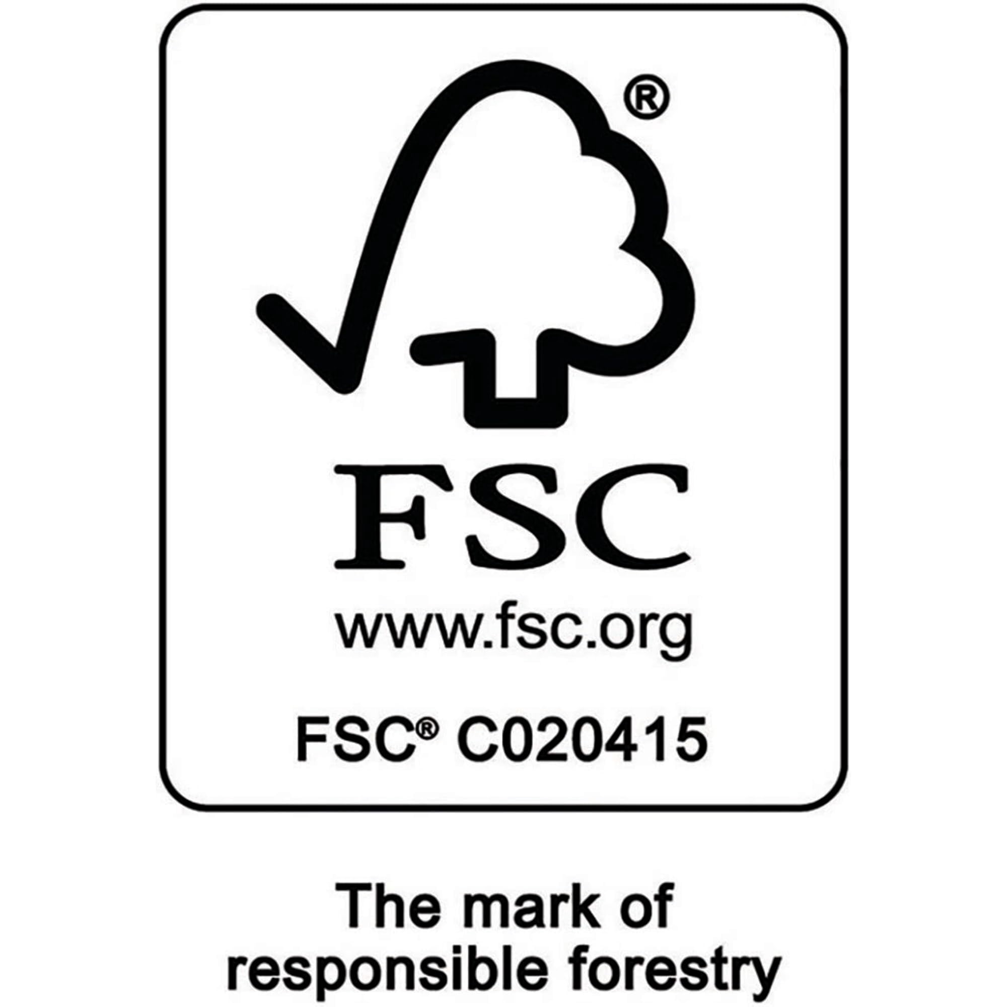 BOISE X-9 Multi-Use Copy Paper, 8.5" x 11" Letter, 92 Bright White, FSC Certified, 20 lb., 10 Ream Carton (5, 000 Sheets)