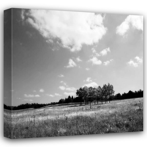 Alan Hausenflock 36x36 Gallery Wrapped Canvas Wall Art Titled - Tree Line Sq. I