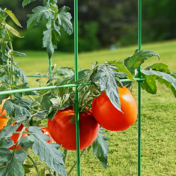 Expert Gardener 47in 4 Panel Tomato Tower Plant Cage - Walmart