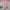 Pink, variant on VgaVtl Elastic Plus Size Leggings for Women Black High Rise Plus Size Womens Trousers Valentine's Day Print Casual Pants