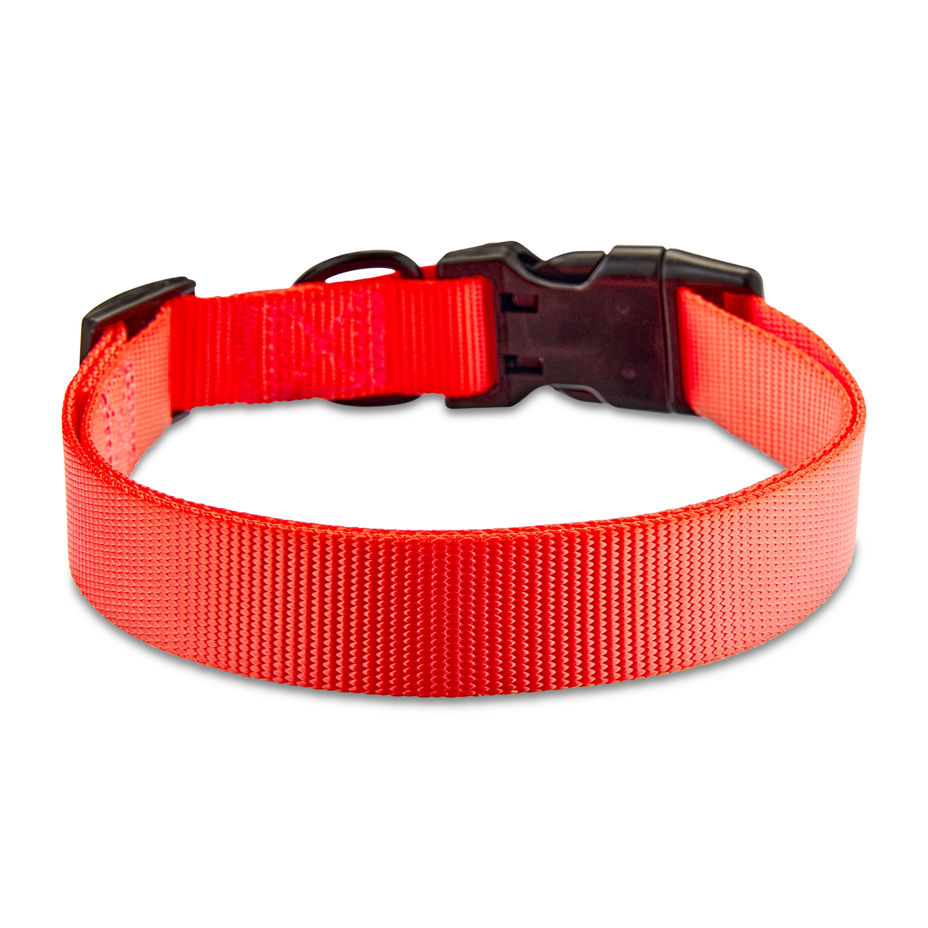 Vibrant Life Polyester Adjustable Dog Collar, Coral, L