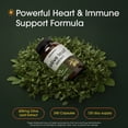 thumbnail image 5 of NatureBell Olive Leaf Extract - 240 Capsules - High Strength 50:1 Concentrated Extract with Oleuropein - Immune, Heart & Circulation Support - 120 Servings, 5 of 8