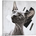 thumbnail image 1 of ARTCANVAS Sphynx Cat Breed White Canvas Art Print - Size: 26" x 26" (1.50" Deep), 1 of 9