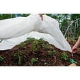 thumbnail image 5 of Agfabric Warm Worth Roll Floating Row Cover & Plant Blanket, 0.55oz Fabric of 5x100ft for Frost Protection, Harsh Weather Resistance& Seed Germination, 5 of 5