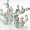 thumbnail image 2 of Coulter, Cynthia 12x12 Gold Ornate Wood Framed with Double Matting Museum Art Print Titled - Cactus Garden Gray Blush III, 2 of 4