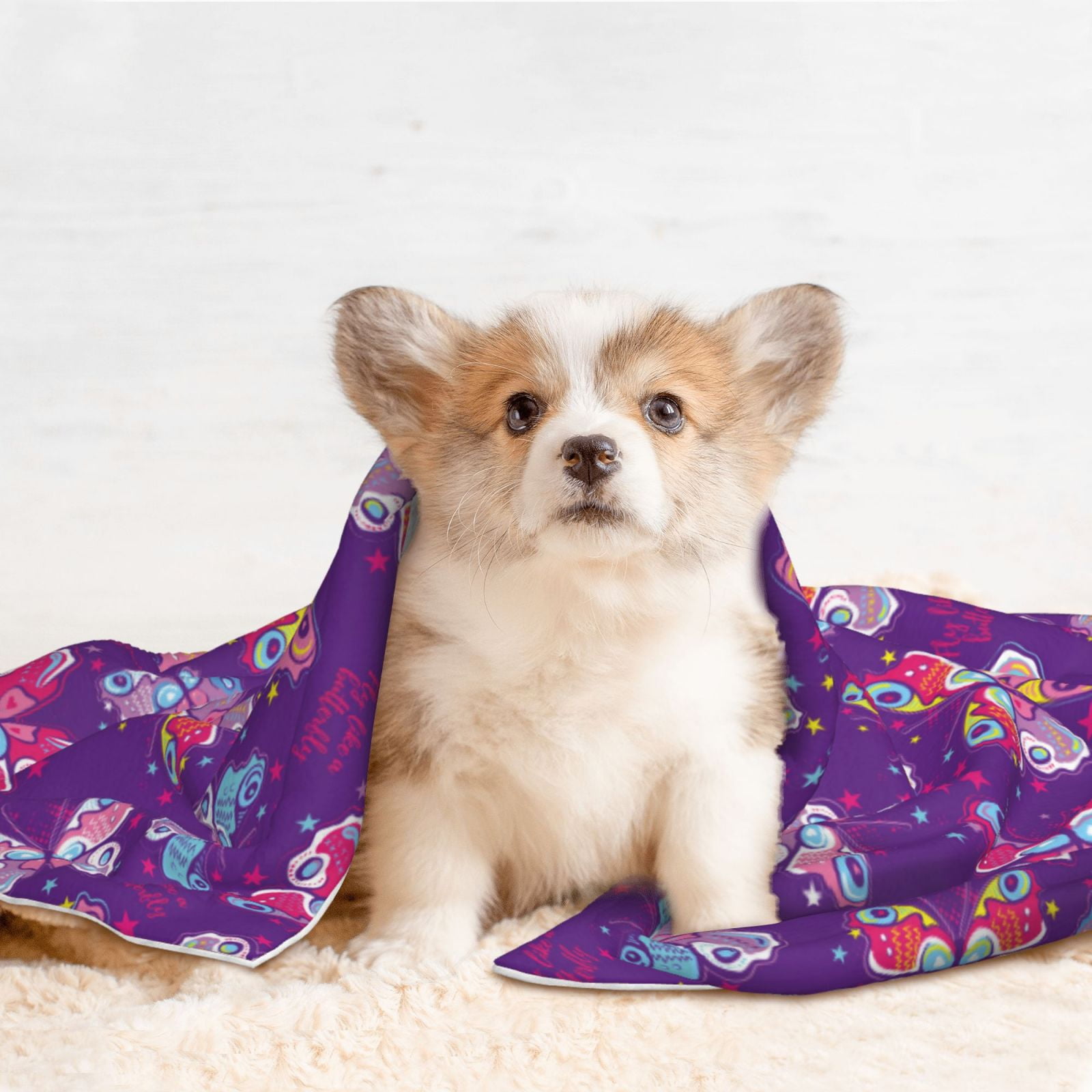 Naloa Bright Butterflies Dog Blanket, 3 Sizes Cat Blanket for Indoor Cats Large Medium Small Dog Gifts-Large