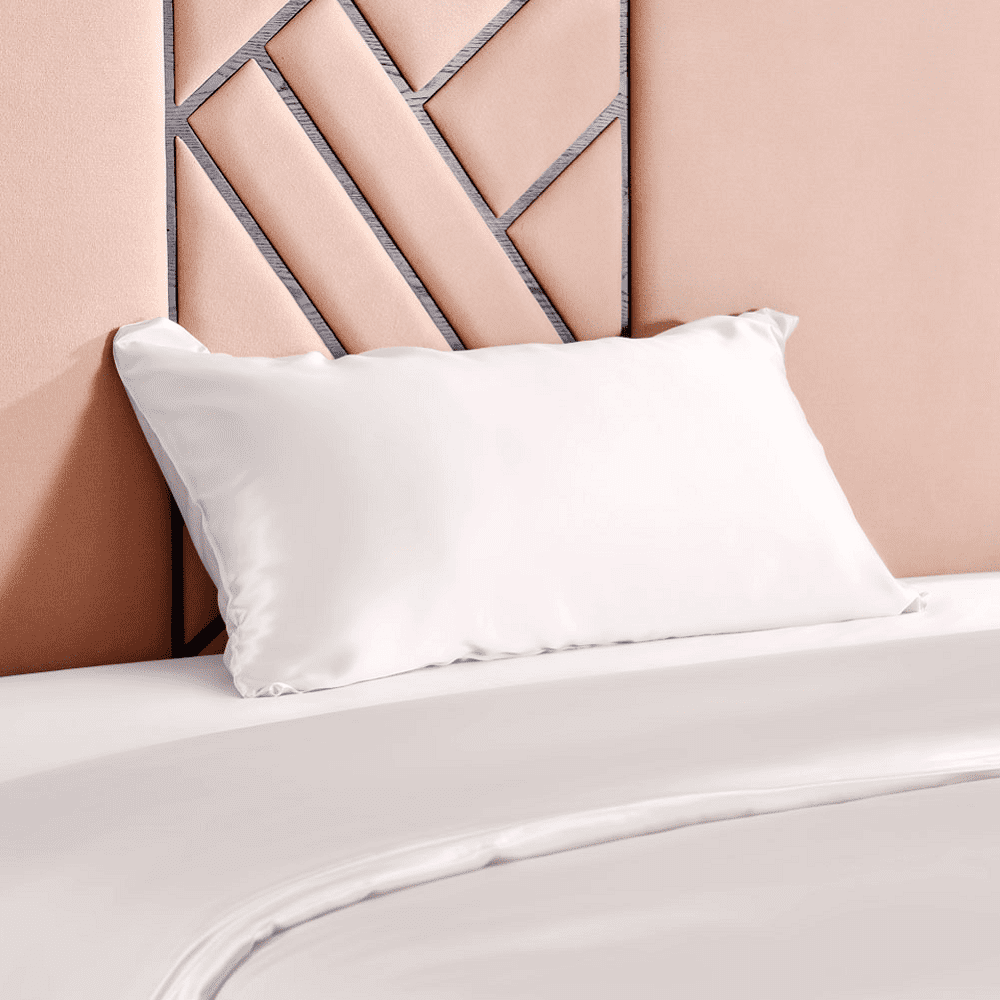 THXSILK 100 19 Momme Silk Pillowcase with Hidden Zipper, Super Soft