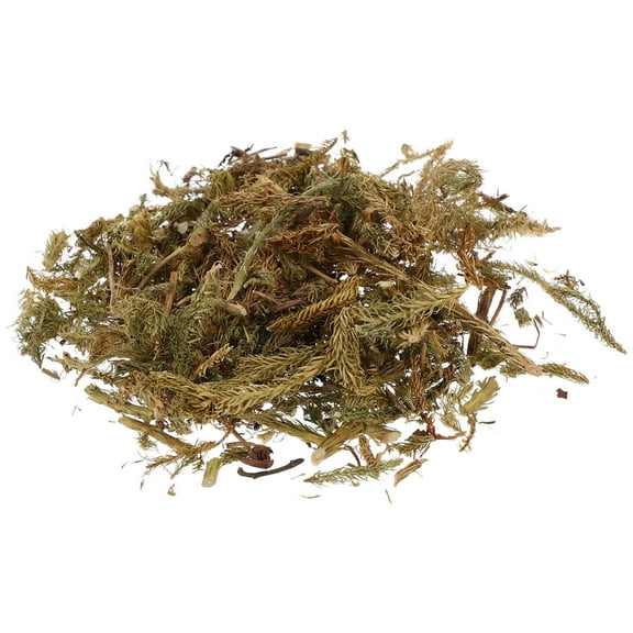 Worgeous 1 Set Of Sand Table Grass For Diorama Highly Realistic Bush Plants Model With Desert Diorama Kit For Diy Miniature Landscaping Projects