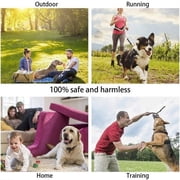 Fznkrag Ultrasonic Dog Training Repeller with Flashlight, Black