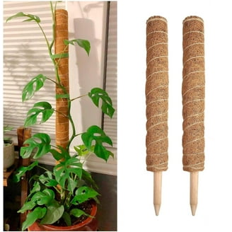 2Pack Moss Pole, Bendable Moss Pole for Plants Monstera - 48 Inch Moss Poles  for Climbing Plants Monstera, Plant Stakes for Indoor, Handmade Coco Coir  Monstera Plant Support for Plants Grow Upward -