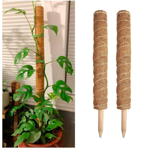 GIXUSIL Moss Stick, 2 Pcs 15.8in Moss Pole Plant Support Totem Pole Plant Climbing Coco Coir Poles to Support Indoor Plants to Grow Upwards