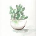 thumbnail image 3 of Chapman, Marcy 15x15 Black Modern Framed Museum Art Print Titled - Watercolor Cactus Still Life III, 3 of 5