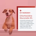 thumbnail image 3 of SensoVet Chlorhexidine 4% Cleansing & Deodorizing Shampoo for Dogs & Cats – Supports Skin Hygiene & Coat Health, 3 of 5