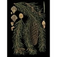thumbnail image 3 of Vision Studio 12x14 Black Modern Framed Museum Art Print Titled - Small Dramatic Conifers III, 3 of 5