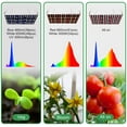 thumbnail image 3 of LED Grow Light Panel Veg Bloom Full Spectrum Dimmable Growing Lamp Auto On/Off for Indoor Plants, 3 of 7