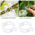 thumbnail image 1 of Clips de plástico para soporte de plantas para tomate, enrejado colgante, vid, conecta plantas, invernadero, verduras, suministros de jardín ZefeiWu 8390614370876, 1 of 1