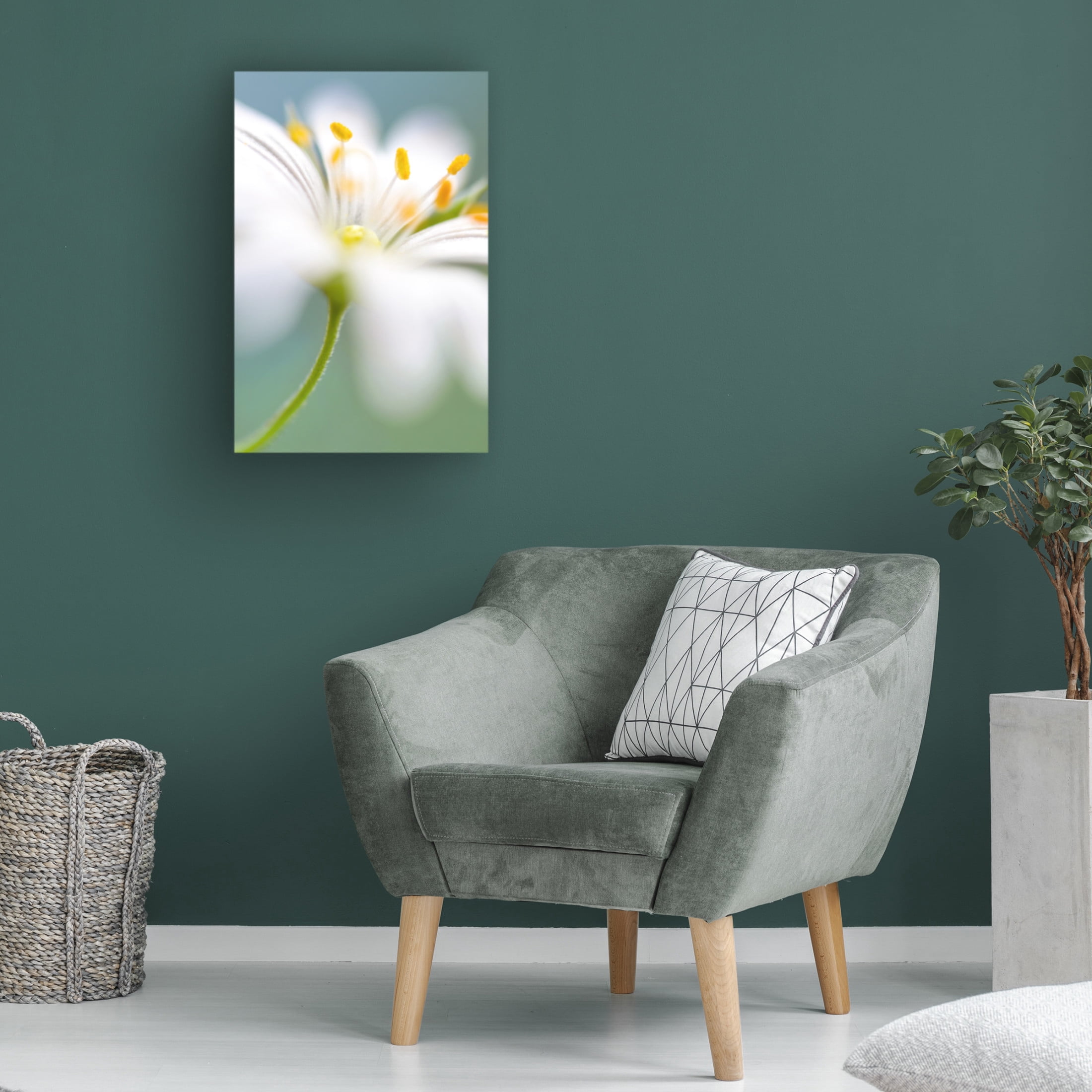 Canvas Wall Art - Mandy Disher 'Stitchwort Surprise' Wall Art for Living Room, Bedroom, or Office D?cor by Trademark Fine Art - 30 x 47 Inches