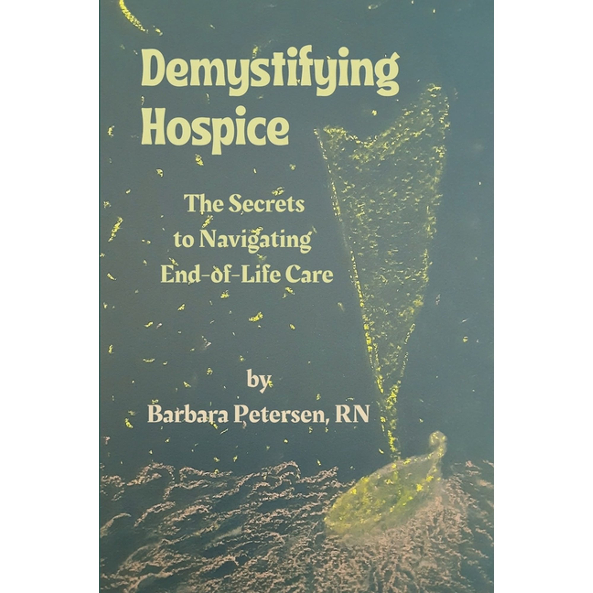 Demystifying Hospice: The Secrets to Navigating End-of-Life Care (Paperback)