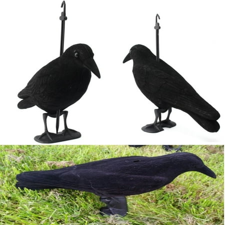 Flocked Crow Decoy Full Body Whole  Raven Shooting Hunting + Feet + Stand Stake Gift Costume US