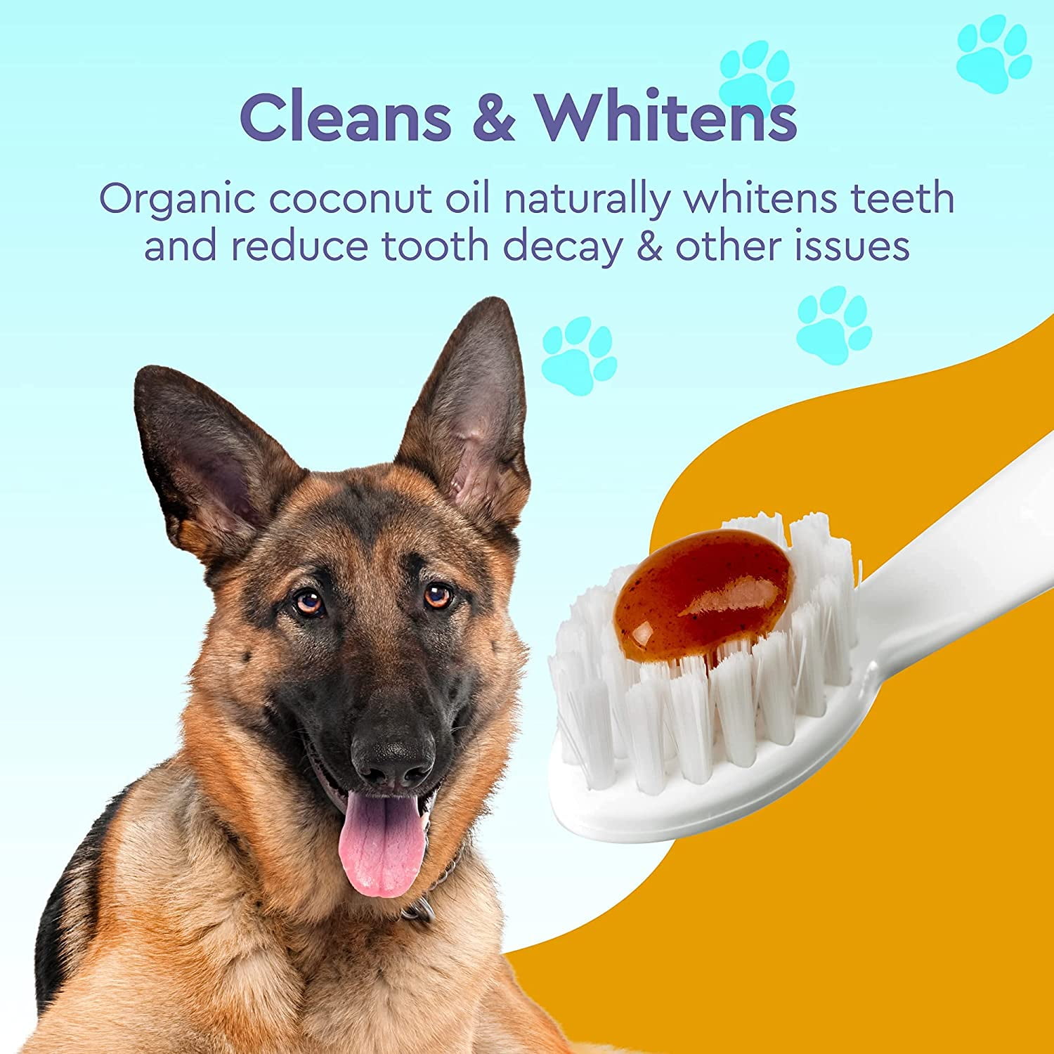 Coconut oil top dog toothpaste