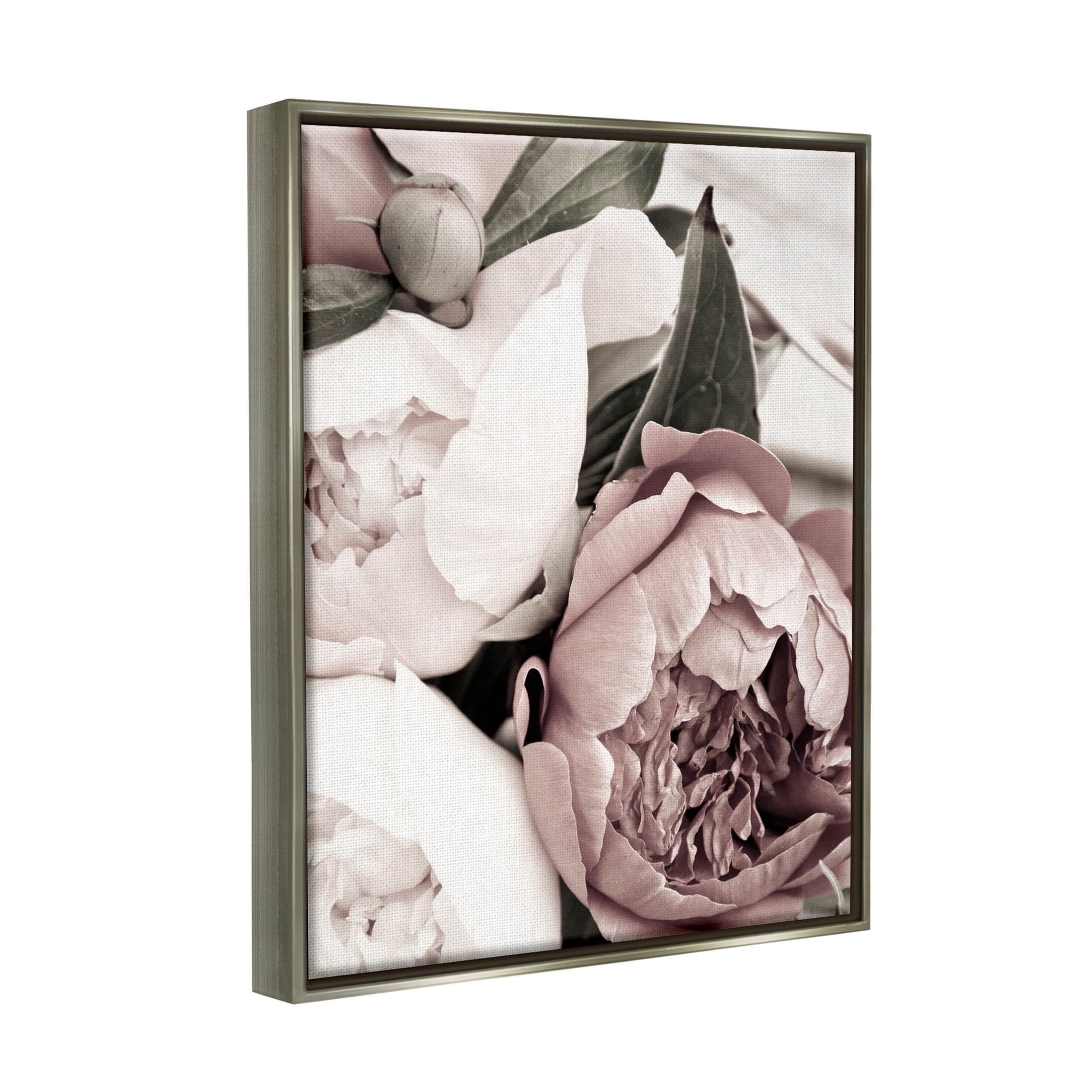 Budding Peony Petals Close Up Botanical & Floral Photograph Luster Gray Framed Art Print Wall Art