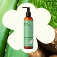 thumbnail image 3 of Plant Therapy Peppermint Body Lotion with Aloe and Shea, Hydrate and Nourish Skin with Botanical Ingredients, 8 oz, 3 of 9