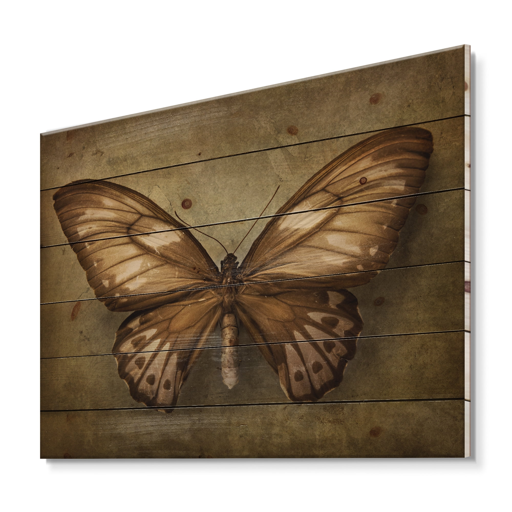 Designart 'Ancient Butterfly In Earth Tones' Vintage Print on Natural Pine Wood
