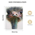 thumbnail image 2 of Nawypu  Ostrich Canvas Wall Art Watercolor Cute Animal Artwork Bird Paintings for Living Room Bedroom Bathroom Decor,Stretched and Framed Ready to Hang, 2 of 5