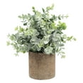 thumbnail image 2 of Mini plantas de plástico artificial, flor de hierba fresca inconfundible para decoración para hogar , Eucalyptus Fernando plantas en macetas falsas, 2 of 8