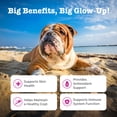 thumbnail image 2 of Zesty Paws Skin & Coat Powder Chicken Flavor Dog Supplement, 150g, 2 of 9