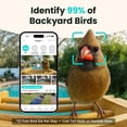 thumbnail image 5 of Birdfy AI Bird Feeder with Camera, Bamboo Wood Solar-Powered Bird Feeder Camera, Bird Camera with Free Lifetime AI Identification, Auto Bird Capture & Real-Time Notifications, Ideal Gift, 5 of 10