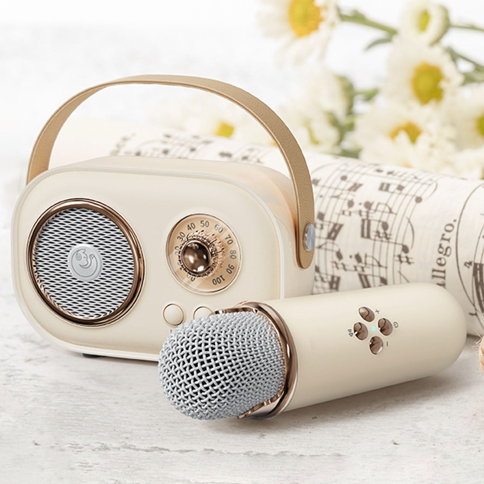 Byujiro Mini Karaoke Machine with 1 Wireless Microphone for Kids and Adults Cute Karaoke with Microphone Set Portable Bluetooth Speaker with Microphone Retro Handheld Style