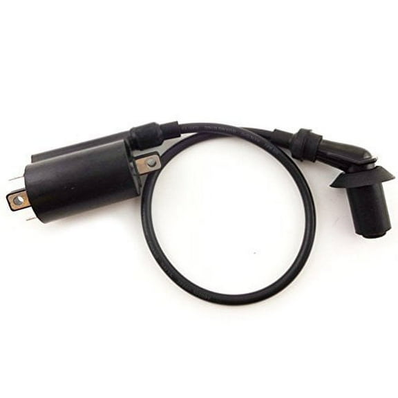 Lumix GC Ignition Coil For BMX KINDOM JCL Taotao 260cc 300cc 400cc Atv Quad UTV