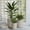 SH009-Beige, variant on 3-Piece Large Concrete Planter Set for Indoor & Outdoor Use - Round Garden Pots (18, 13, 9 Inch Dia) with Drainage Hole & Plug (SH002)