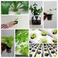 thumbnail image 3 of Planting 10pcs Plastic Cultivation Planting Basket Hydroponic Soilless Cultivation Planting Net Pot Mesh Plant Pots, 3 of 8