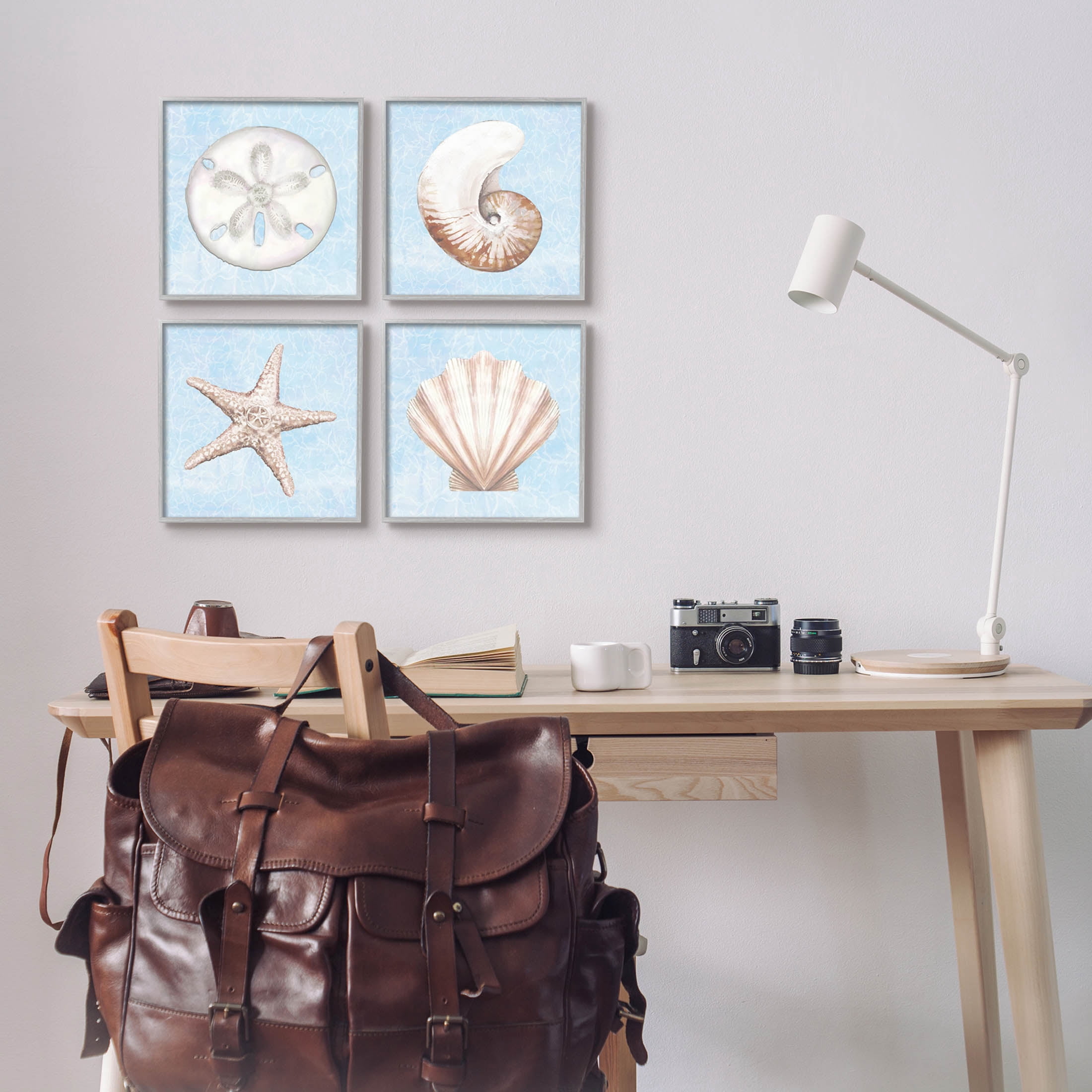 Water Patterned Sea Life Shells Animals & Insects Graphic Art Gray Framed Art Print Wall Art, Set of 4