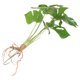 thumbnail image 1 of CRILSTYLEO Planta Artificial Resistente Monstera Para De Espacios En Color Verde Natural, 1 of 7