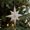 White #3, variant on Christmas Ornaments, Hanging Decorations for Festive Ambiance, Easy to Install on Trees and Windows, Durable Plastic for Reuse, Ideal for Home and Party Decor